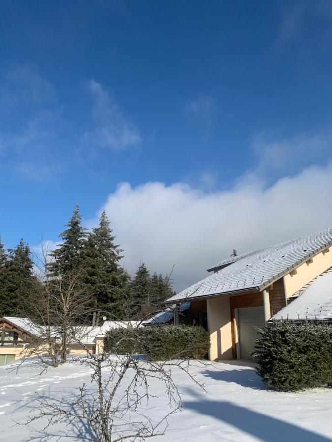 "Les Oiseaux" Avec Terrasse, Parking, Duplex Apartment Le Chambon-sur-Lignon Luaran gambar