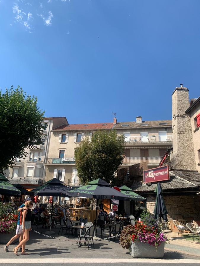 "Les Oiseaux" Avec Terrasse, Parking, Duplex Apartment Le Chambon-sur-Lignon Luaran gambar