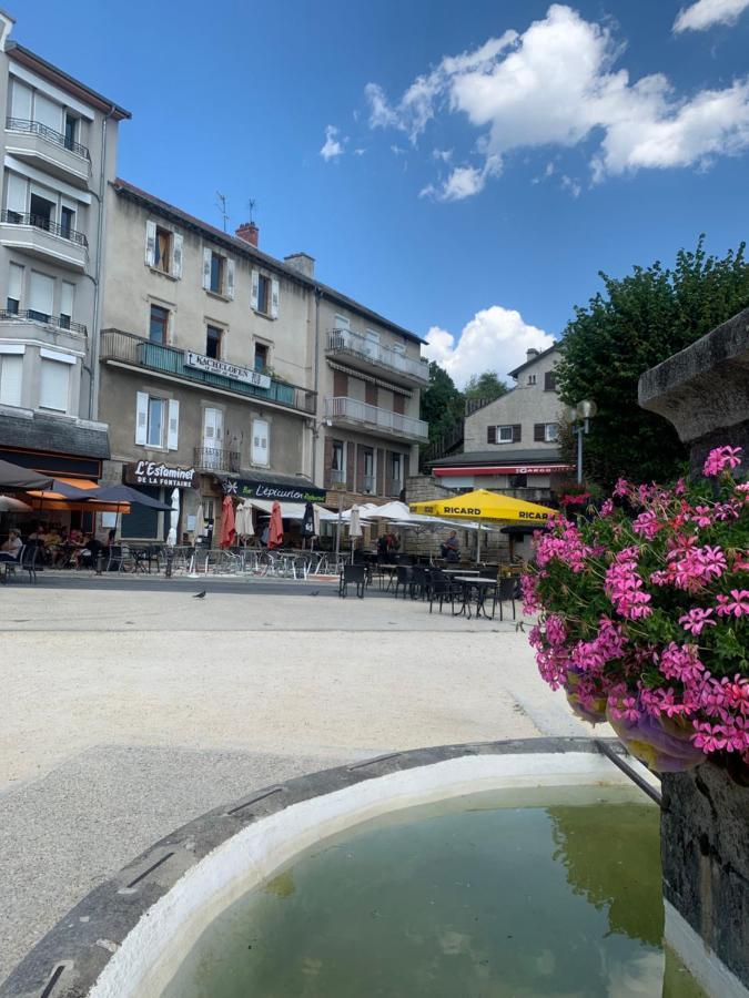 "Les Oiseaux" Avec Terrasse, Parking, Duplex Apartment Le Chambon-sur-Lignon Luaran gambar